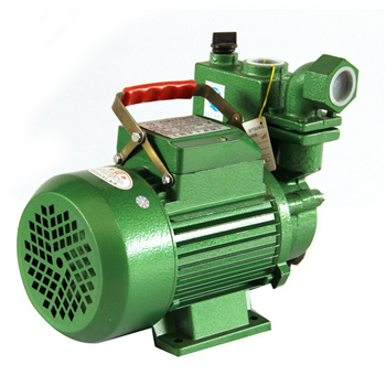 厂家直销 上海华丰 1WZB 型旋涡式自吸电泵 1WZB-65